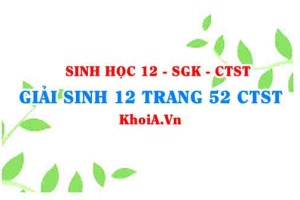 Giải Sinh 12 trang 52 Chân trời Sáng tạo